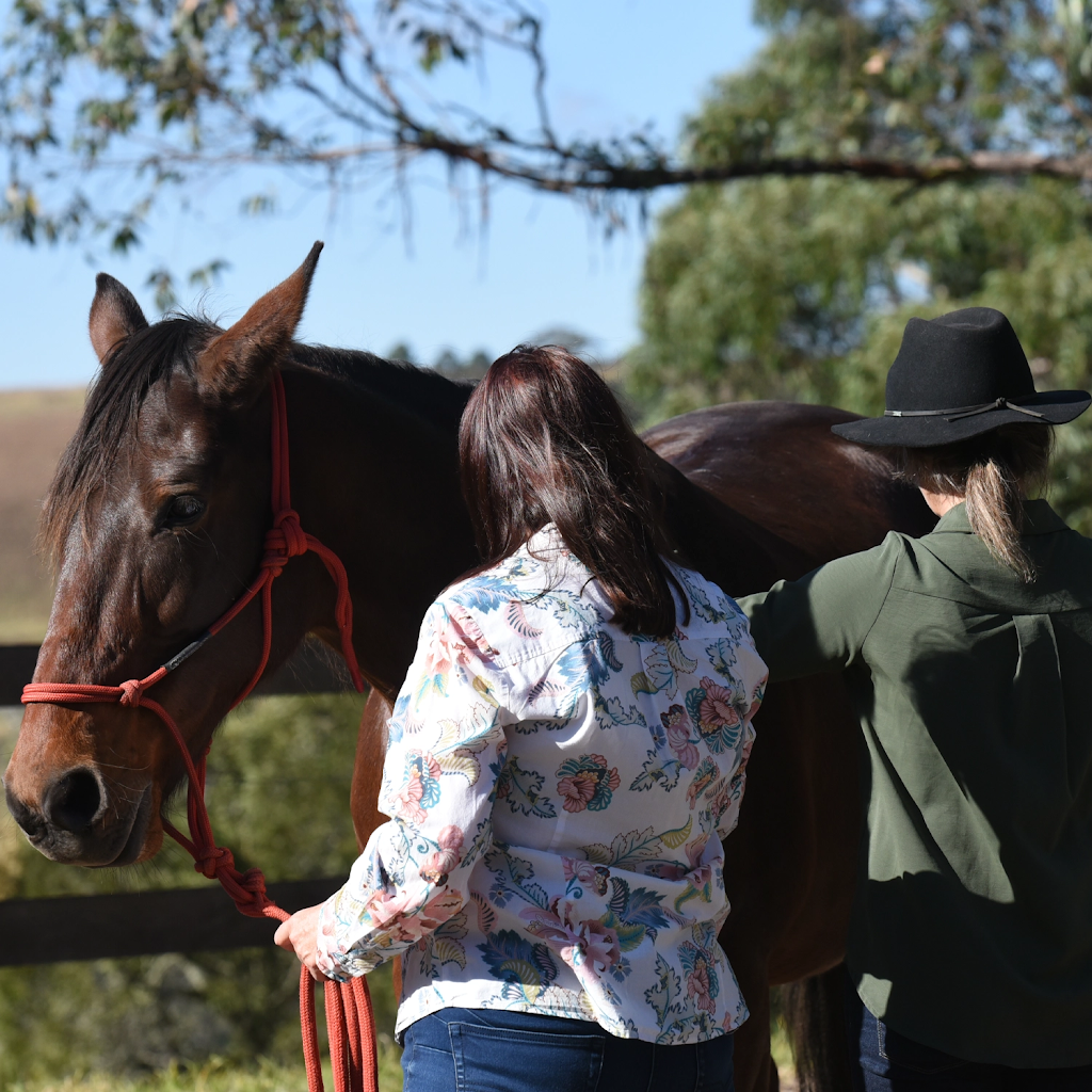 Epona Enterprises | 185 Beaumonts Rd, Deer Vale NSW 2453, Australia | Phone: 0404 493 043
