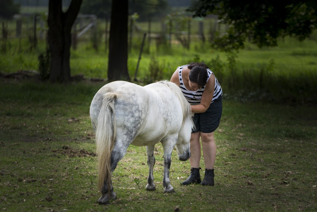 True Colours - Animal Assisted Therapy | 15 Mullers Ln, Berry NSW 2535, Australia | Phone: 0407 769 937