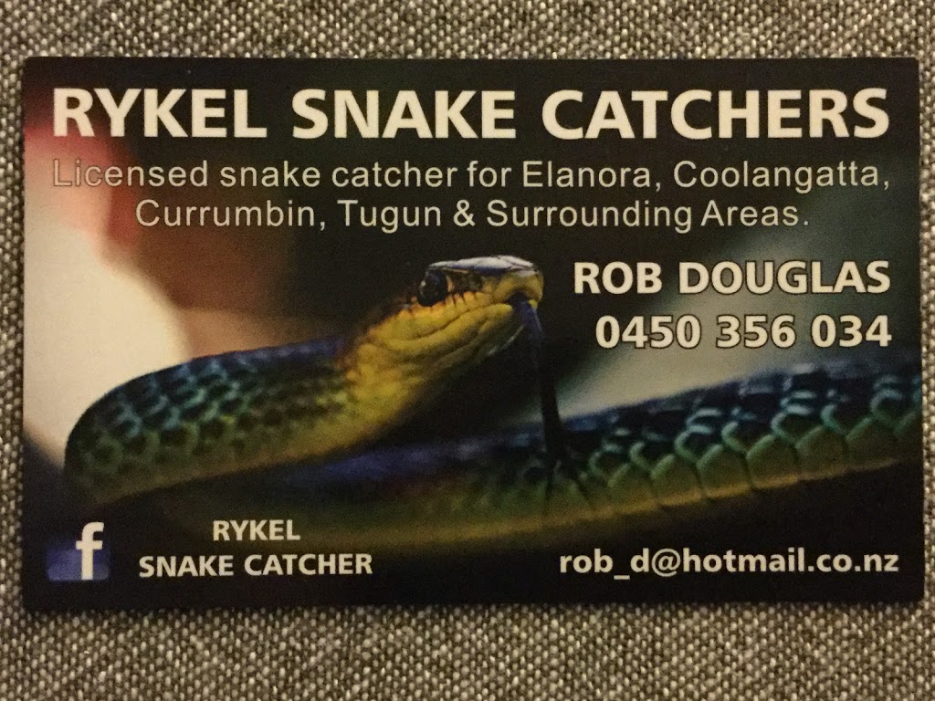 Rykel Snake Catchers | Inland Dr, Tugun QLD 4224, Australia | Phone: 0450 356 034