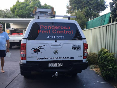 PONDEROSA PEST & TERMITE CONTROL - Hills District, Hawkesbury &  | home goods store | Servicing all Hawkesbury & Hills District suburbs, Windsor NSW 2756, Australia | 0434585776 OR +61 434 585 776