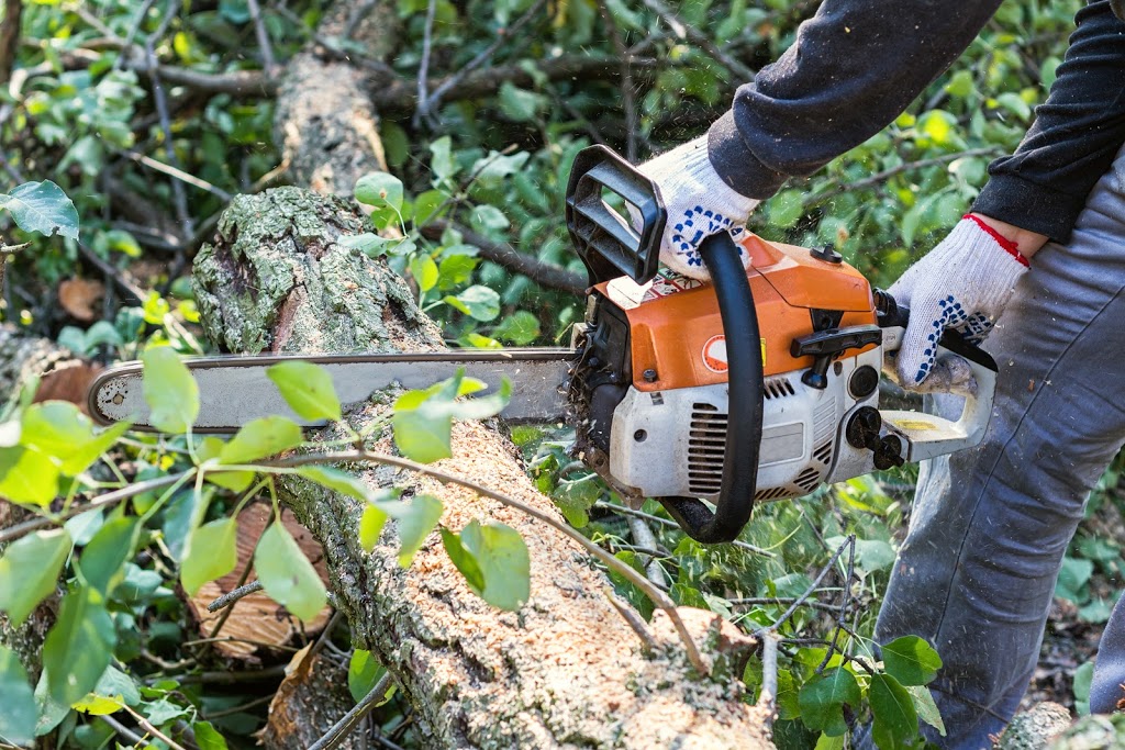 Tree Removal Sackville | Tree Lopping, Tree Trimming, Land Clearing, Arborist, Sackville NSW 2756, Australia | Phone: 0480 024 711