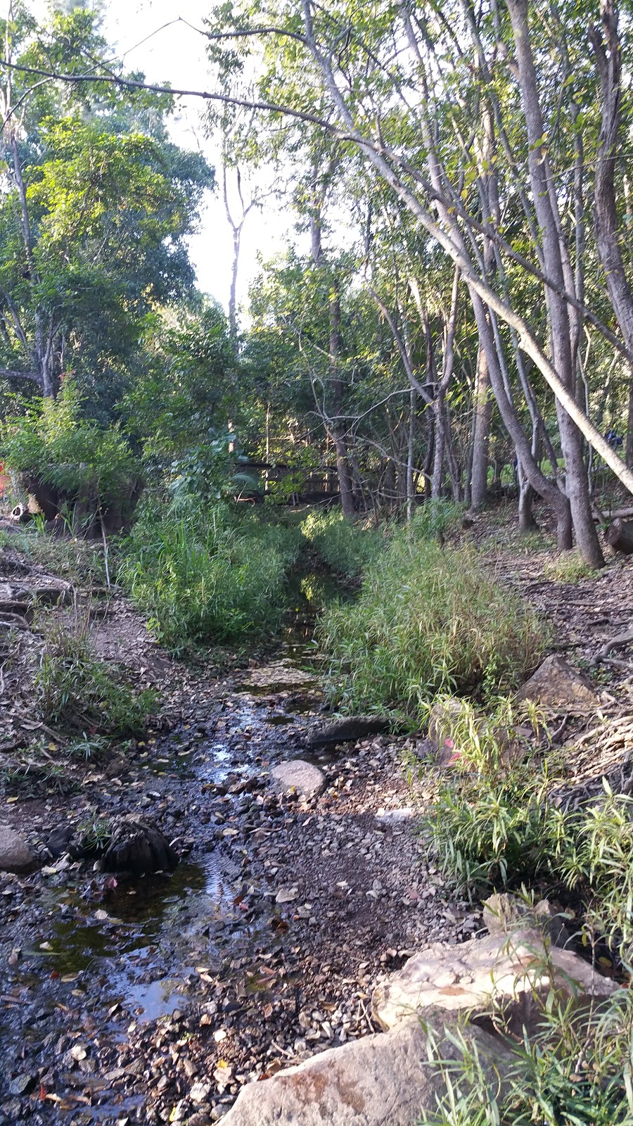 Witton Creek | park | Indooroopilly QLD 4068, Australia