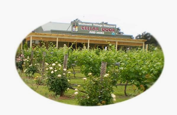 Wollombi Village Vineyard | 2971 Paynes Crossing Rd, Wollombi NSW 2325, Australia | Phone: 0419 997 434