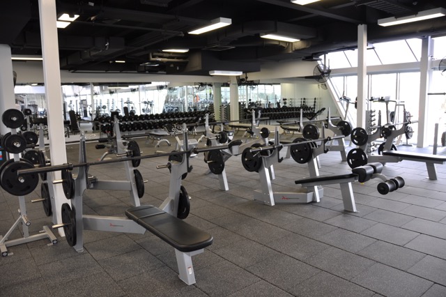 Aquanation | gym | &, Greenwood Avenue, Reilly St, Ringwood VIC 3134, Australia | 0392984600 OR +61 3 9298 4600