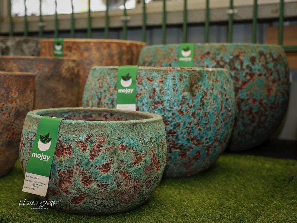 Plantastic Nursery | 522 Wingham Rd, Taree NSW 2430, Australia | Phone: (02) 6552 2308