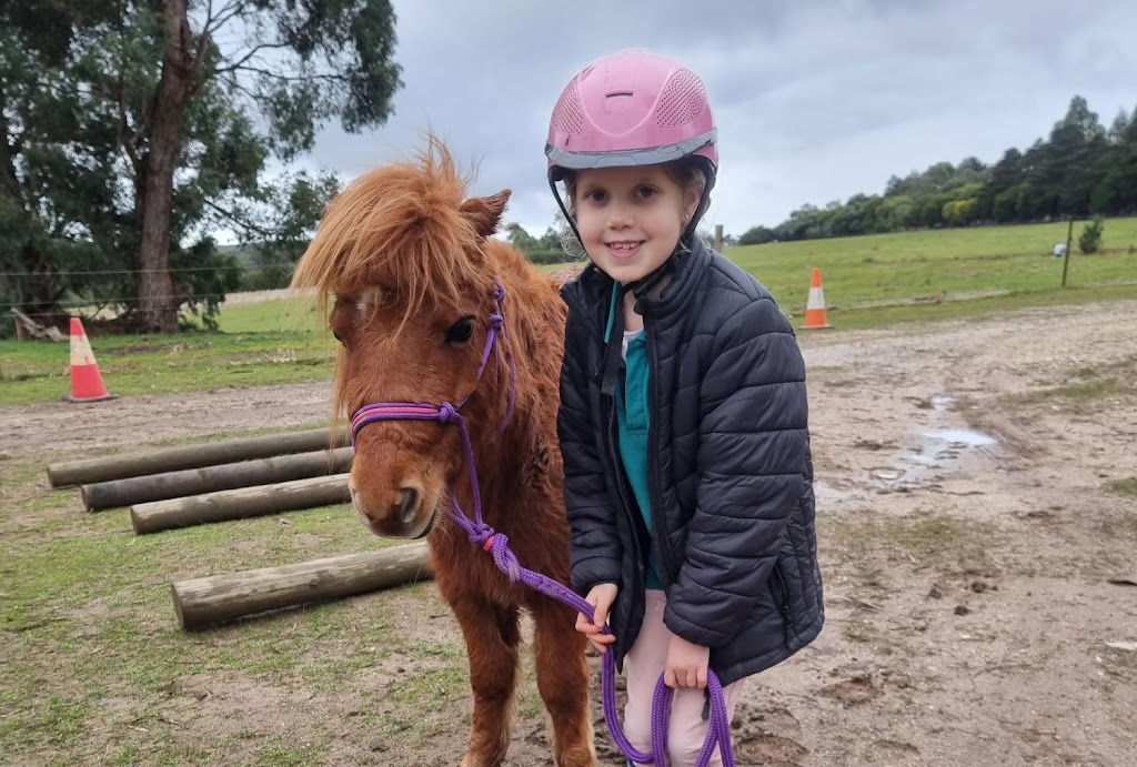 Rebel Equestrian Centre | 29 William Ct, Berringa VIC 3351, Australia | Phone: 0406 498 528