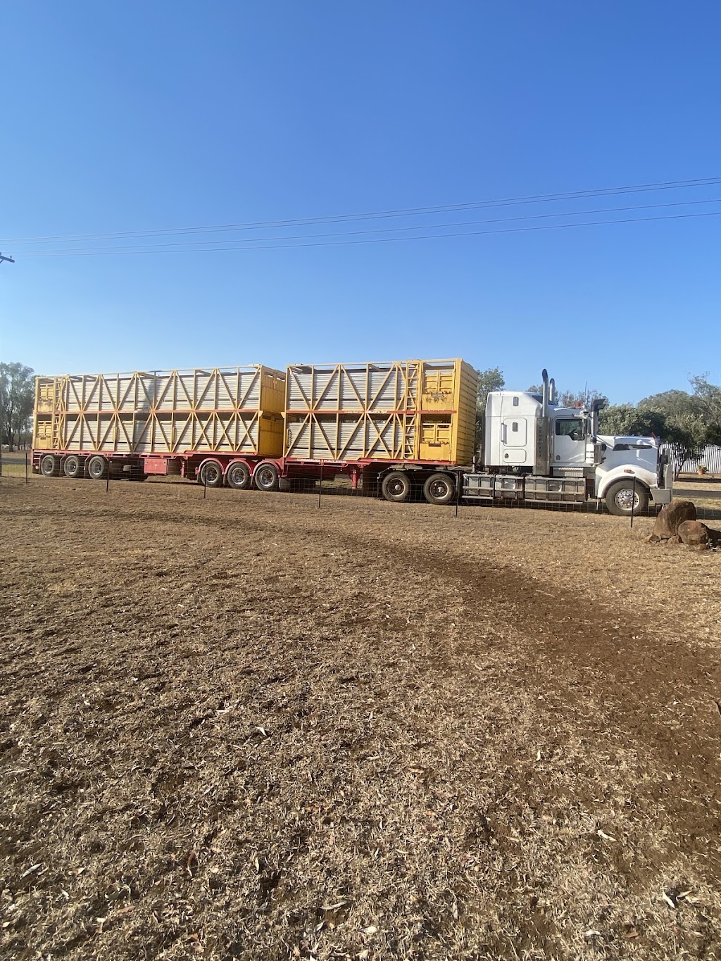 OSullivan Cattle Transport | 85 Colkerri Dr, Dalby QLD 4405, Australia | Phone: 0427 760 965