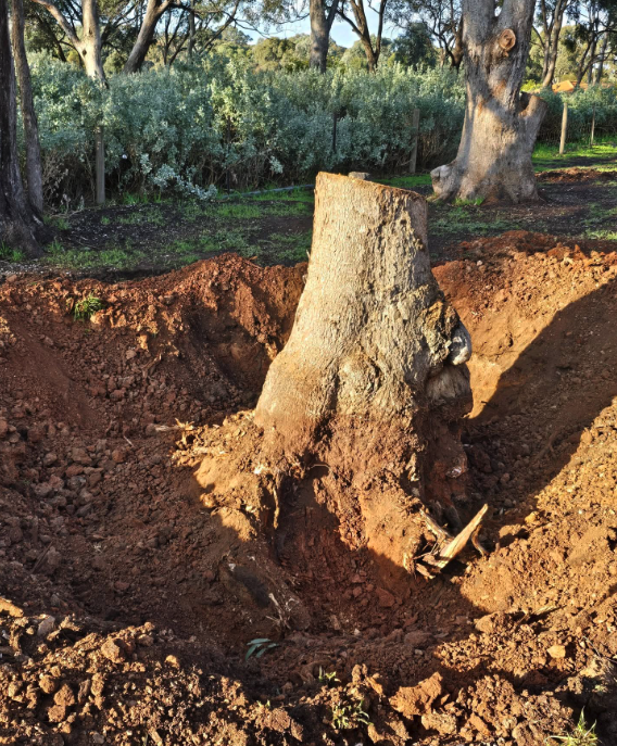 Darwin Daves Earthworx and Hire | 219 Schumakers Ln, Maiden Gully VIC 3551, Australia | Phone: 0407 452 330