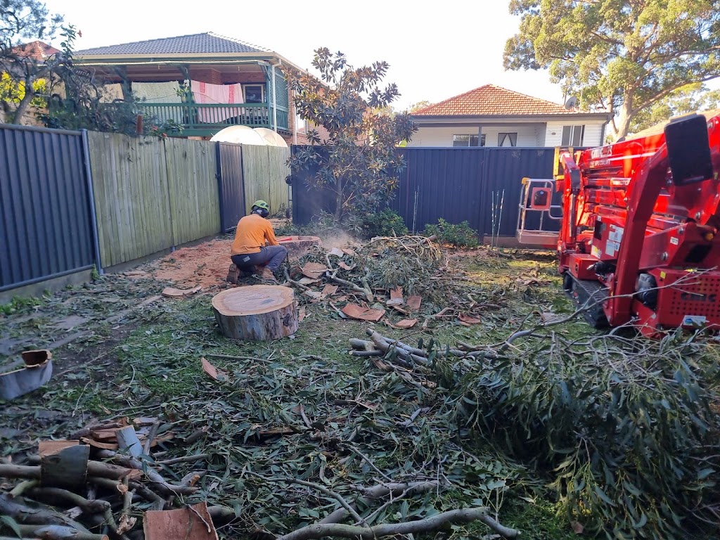 Above All Tree Services | 67 Achilles Rd, Engadine NSW 2233, Australia | Phone: 0412 708 072