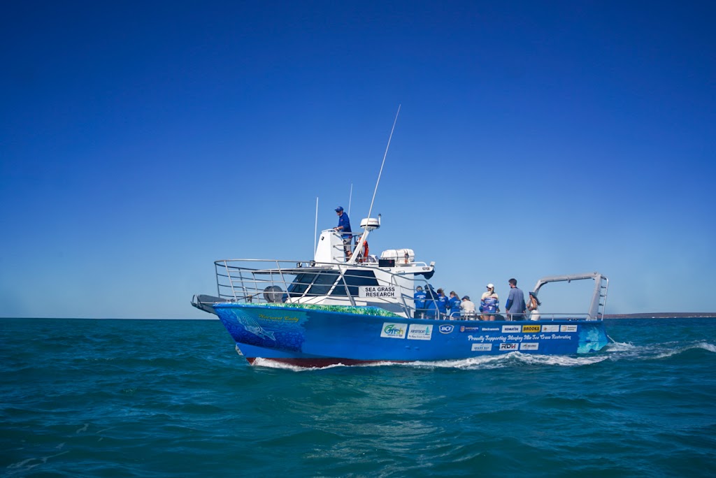 Shark Bay Seagrass Restoration | 1 Monkey Mia Rd, Monkey Mia WA 6537, Australia | Phone: 0428 835 468
