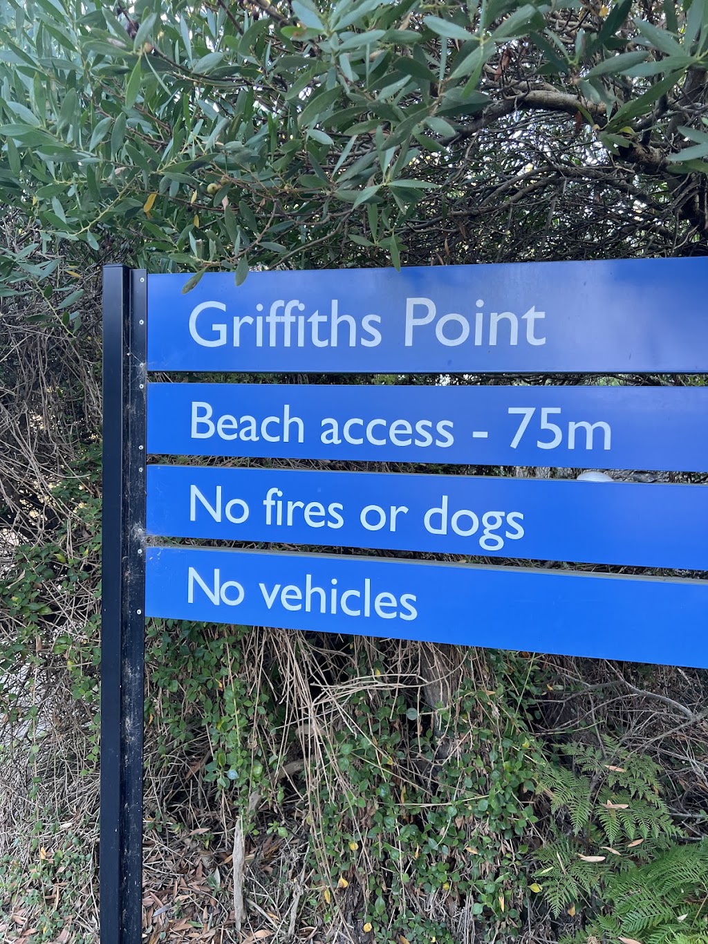 Griffiths Point | VH37+8Q, Bakers Beach TAS 7307, Australia | Phone: (03) 6428 6277