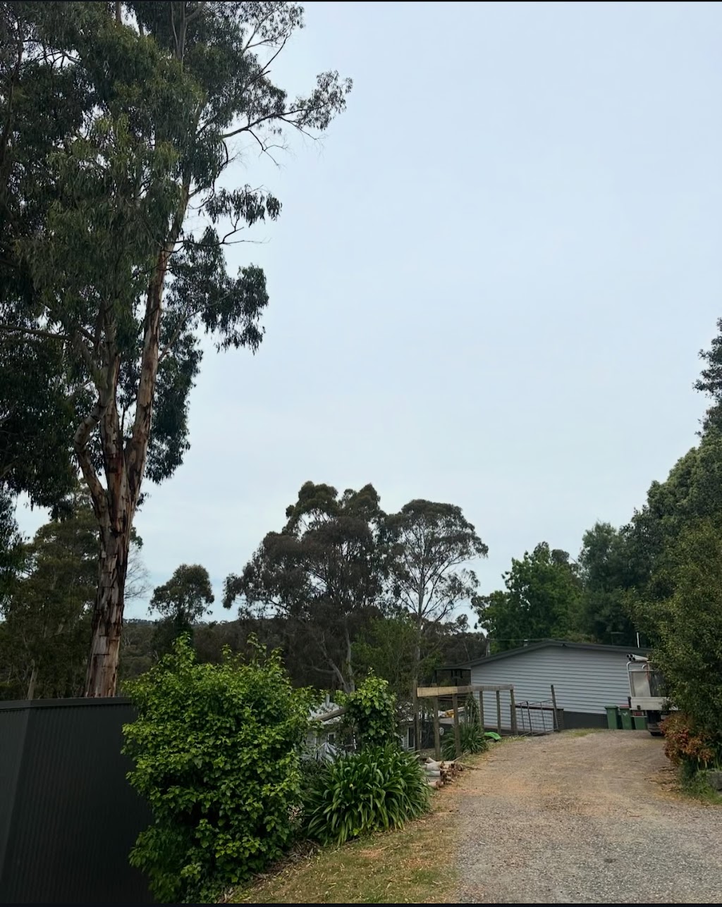 Coopers Trees | Main St, Gembrook VIC 3783, Australia | Phone: 0488 059 902