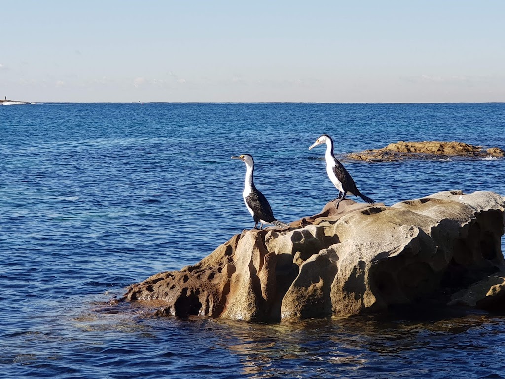 Malabar Beach | park | 3r/1 Fishermans Rd, Malabar NSW 2036, Australia | 1300722542 OR +61 1300 722 542
