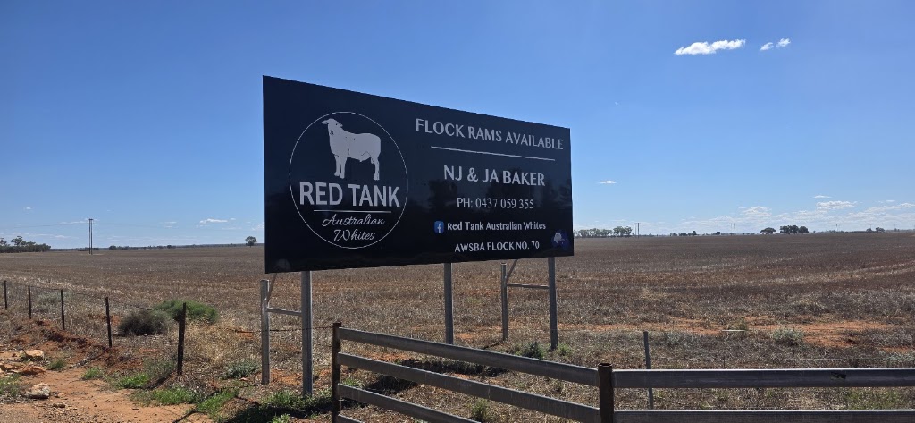 Red Tank Australian Whites | 1055 Mitchell Hwy, Nyngan NSW 2825, Australia | Phone: 0428 322 776