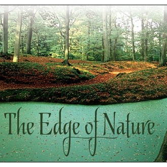 The Edge of Nature | art gallery | 40 Fosterton Rd, Dungog NSW 2420, Australia | 0457063702 OR +61 457 063 702