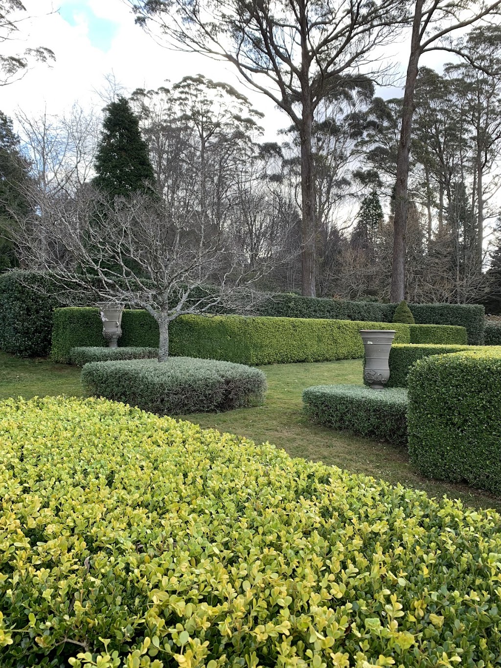 Wild Meadows Garden | 243A Coxs River Rd, Little Hartley NSW 2790, Australia | Phone: 0439 070 670