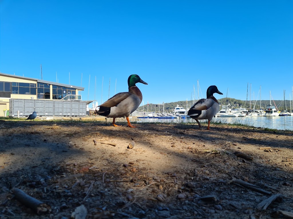 1st Gosford Scout Hall | 10 Masons Parade, Point Frederick NSW 2250, Australia | Phone: 0439 474 916