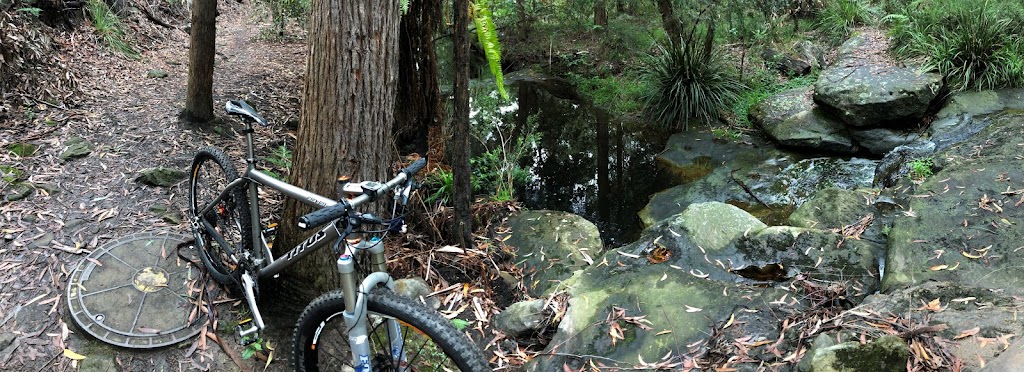 Bikeopelli Bicycle Services | 3B Arbor Glen, Castle Hill NSW 2154, Australia | Phone: 0414 108 212