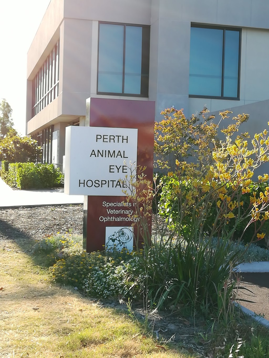 Perth Animal Eye Hospital | veterinary care | 18 Bradshaw Cres, Manning WA 6152, Australia | 0861101616 OR +61 8 6110 1616