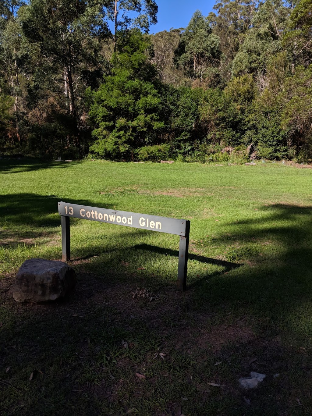 Cottonwood Glen Picnic Area | tourist attraction | Riverside Dr, Macquarie Park NSW 2113, Australia | 0284480400 OR +61 2 8448 0400