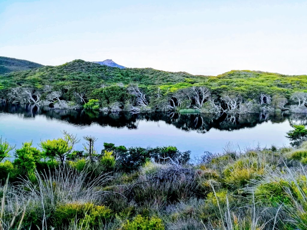 Normans Beach | campground | Manypeaks WA 6328, Australia