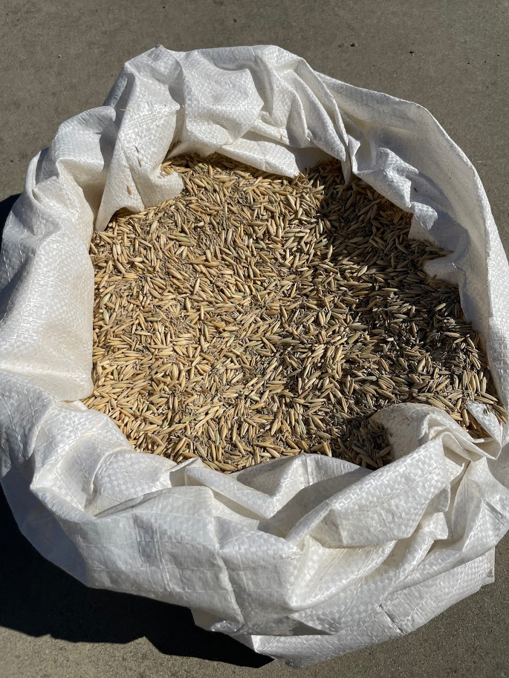 Hickseeds | 535 Torwood-Topiram Rd, Torwood VIC 3821, Australia | Phone: 0407 308 089