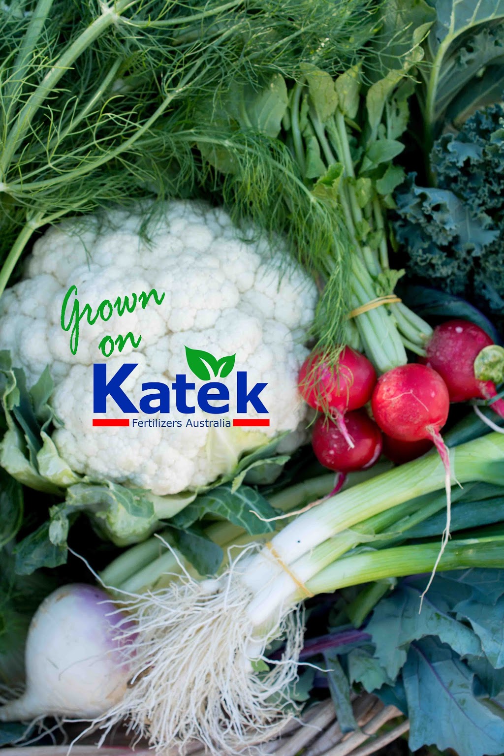 Katek Fertilizers Australia | store | 250 Hayes Rd, Lower Wonga QLD 4570, Australia | 0754861141 OR +61 7 5486 1141