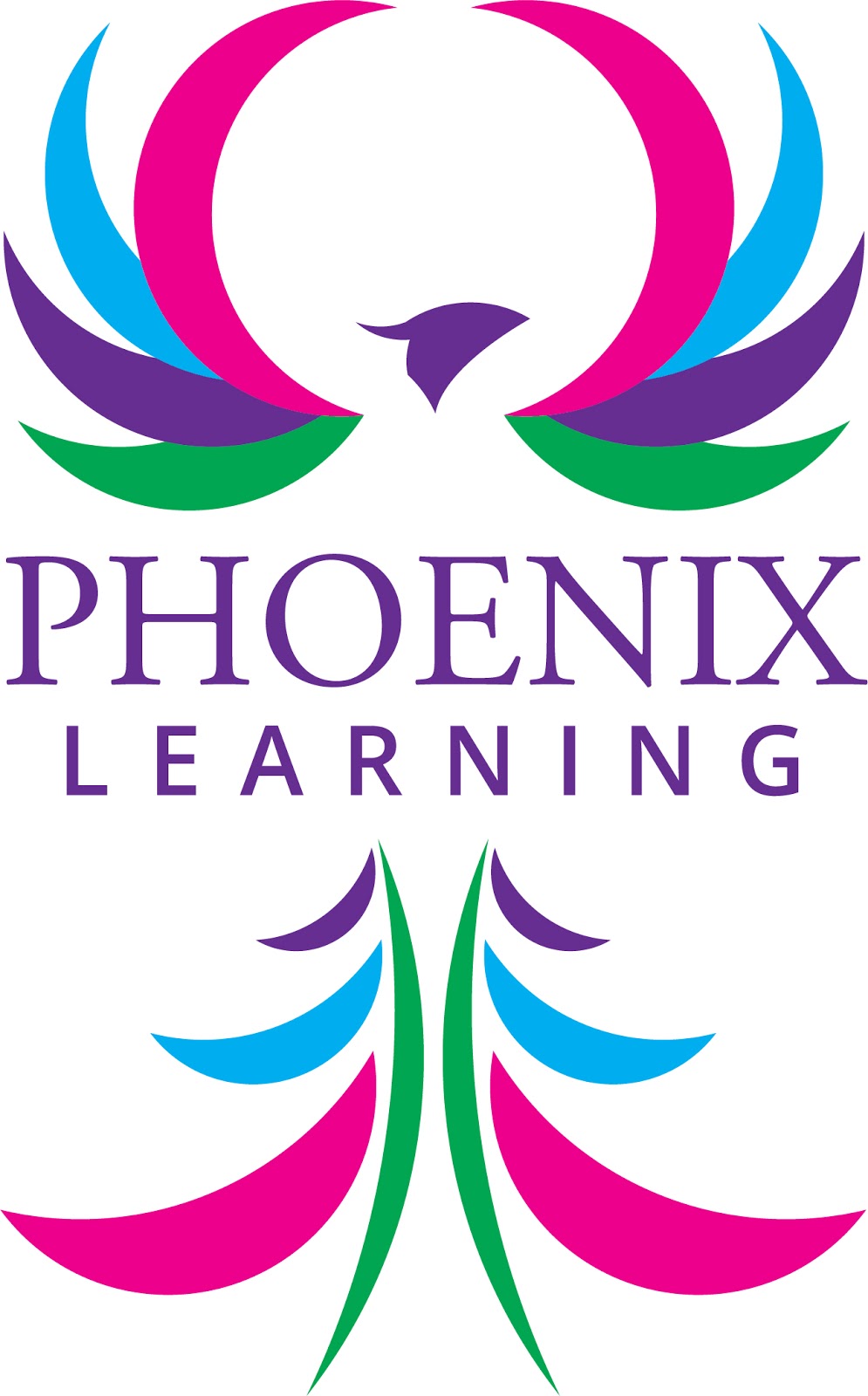 PHOENIX LEARNING | 110 Andrew St, Wynnum QLD 4178, Australia | Phone: 0419 131 318