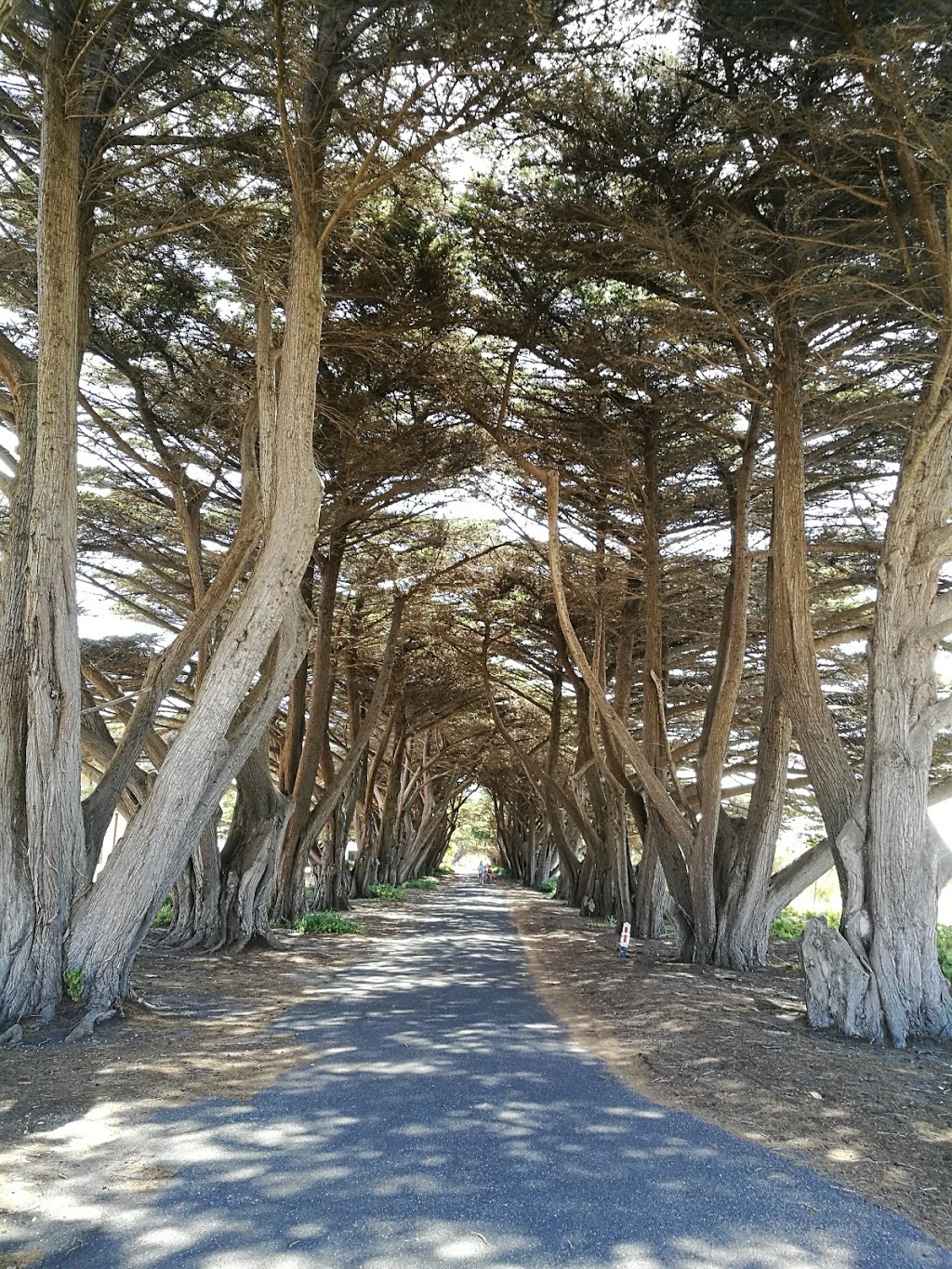 Point Nepean National Park | Portsea VIC 3944, Australia | Phone: 13 19 63