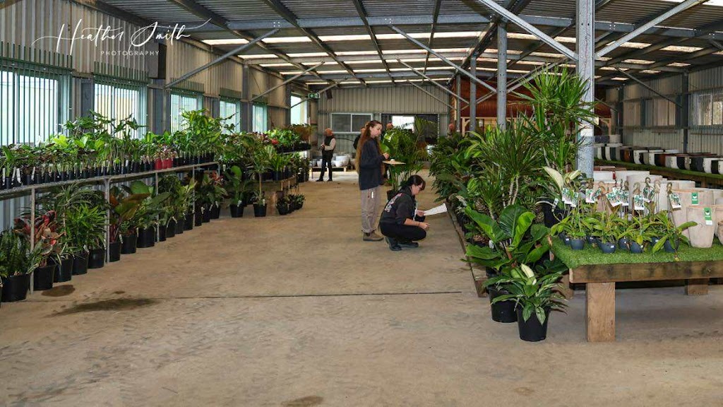 Plantastic Nursery | 522 Wingham Rd, Taree NSW 2430, Australia | Phone: (02) 6552 2308