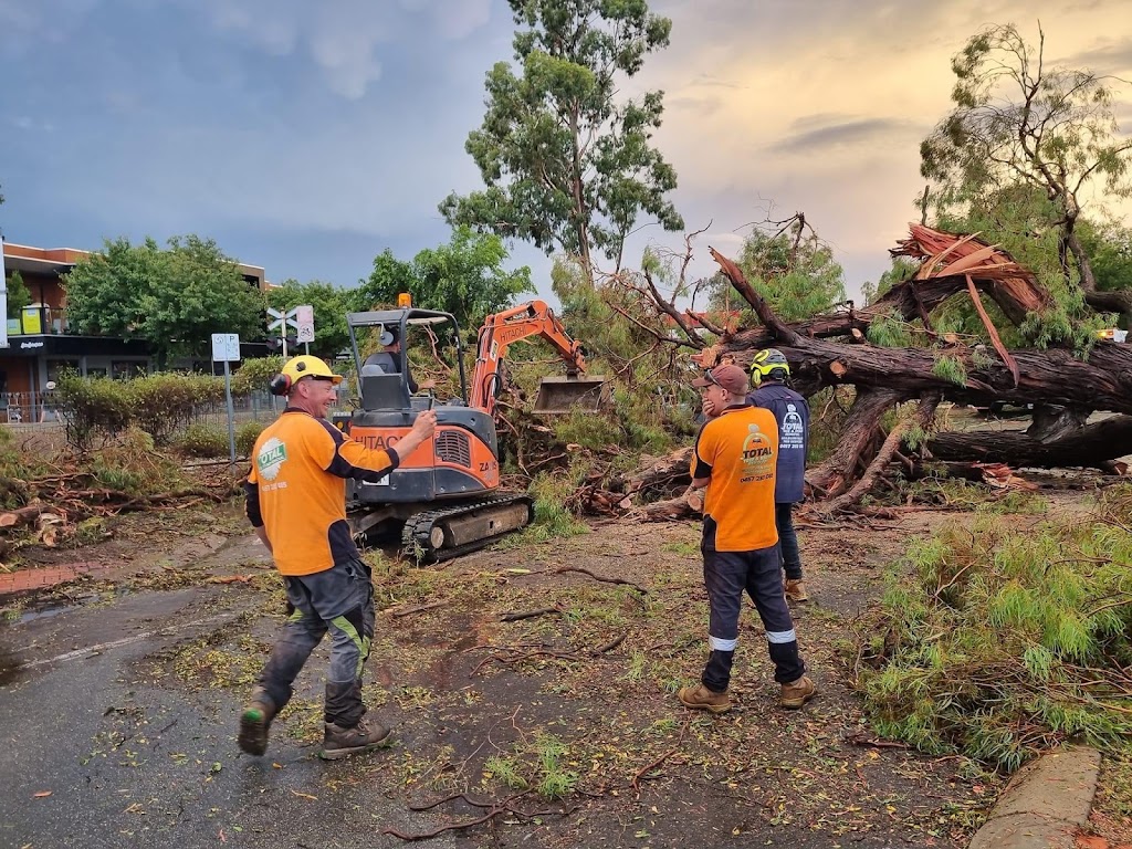 Total Tree & Stump Removal pty Ltd | 60 Robinson St, Murchison VIC 3610, Australia | Phone: 0457 283 085