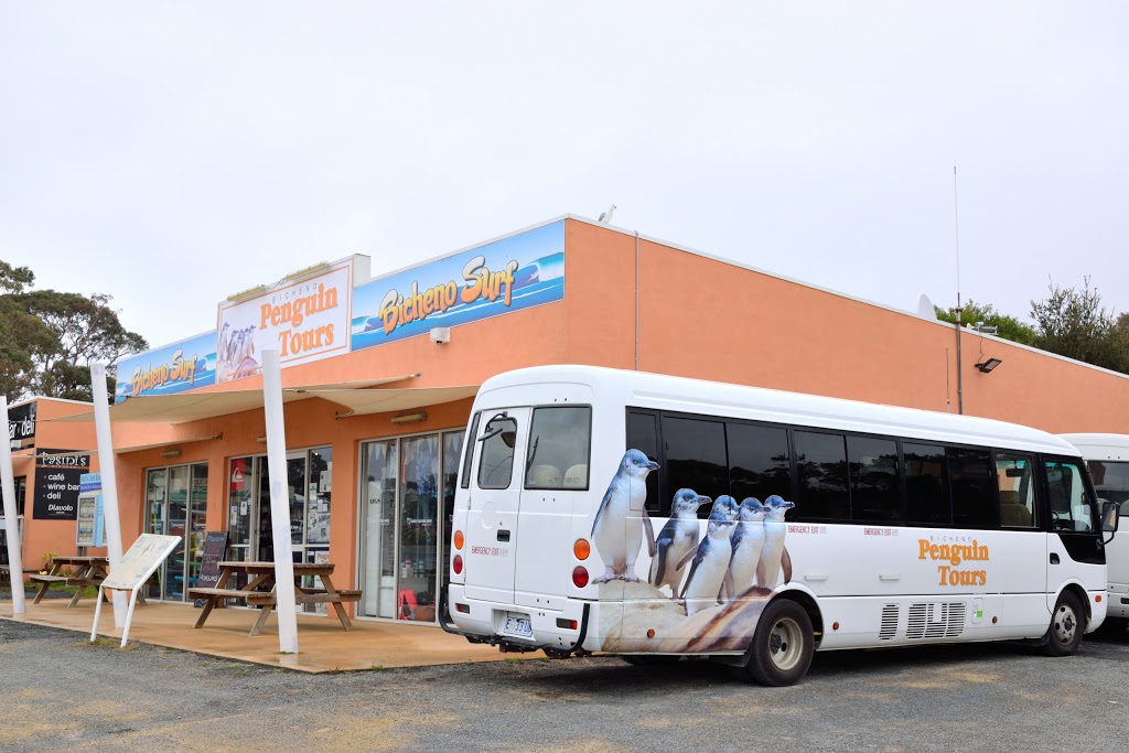 Bicheno Penguin Tours | 70 Burgess St, Bicheno TAS 7215, Australia | Phone: (03) 6375 1333