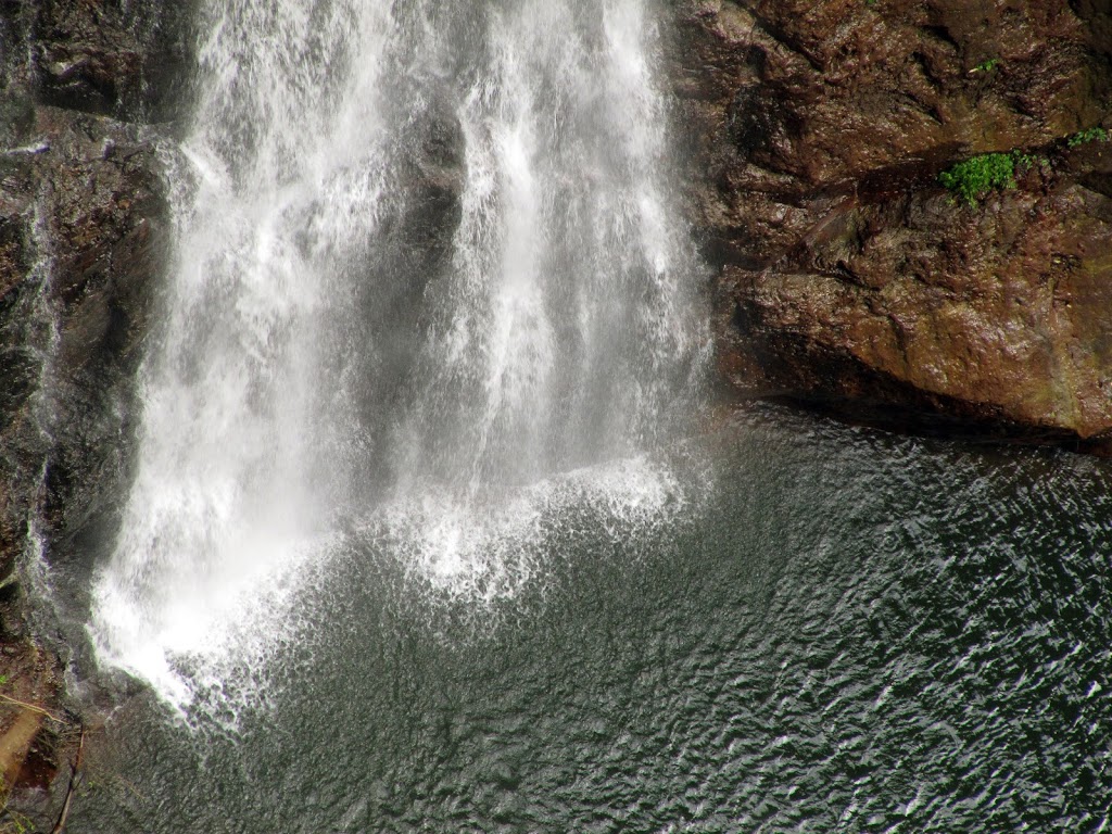 Coomera Falls | tourist attraction | Binna Burra Rd, Beechmont QLD 4211, Australia | 137468 OR +61 137468