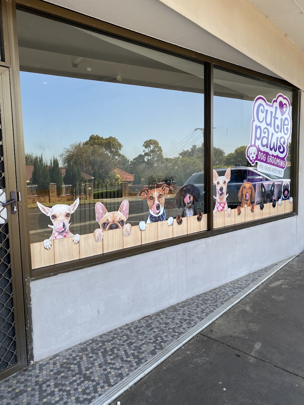 Cutie Paws Dog Grooming |  | Shop 5/16 Swallow Dr, Mount Gambier SA 5290, Australia | 0428251148 OR +61 428 251 148
