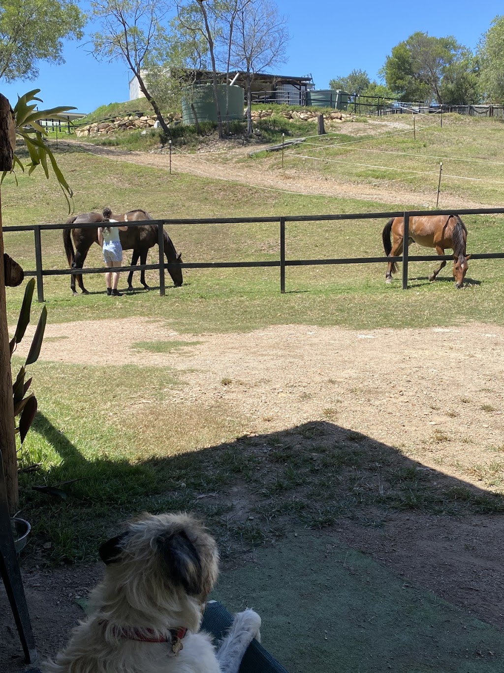 Sans Souci Respite Retreat | 39 Forest Rd, Cashmere QLD 4500, Australia | Phone: 0437 381 463