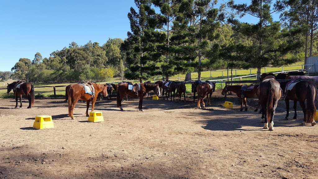 Gummies Bush Camps | 400 Biddaddaba Creek Rd, Canungra QLD 4275, Australia | Phone: (07) 5543 0191