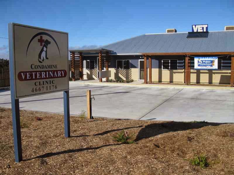 Condamine Veterinary Clinic | 185 Bracker Rd, Warwick QLD 4370, Australia | Phone: (07) 4667 1176