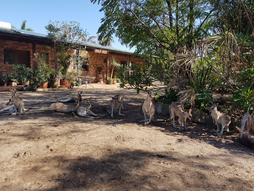 Horizons Kangaroo Sanctuary & Camp Ground | campground | 15 Fitzroy Cres, Agnes Water QLD 4677, Australia | 0749747783 OR +61 7 4974 7783