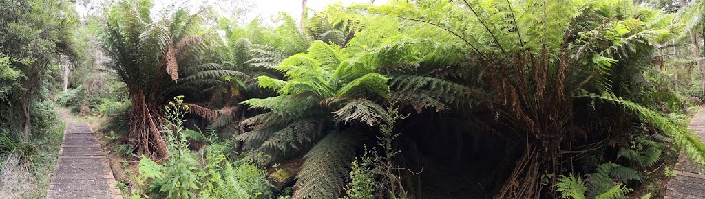Main Ridge Nature Conservation Reserve | 71/79 Barkers Rd, Flinders VIC 3929, Australia | Phone: 13 19 63