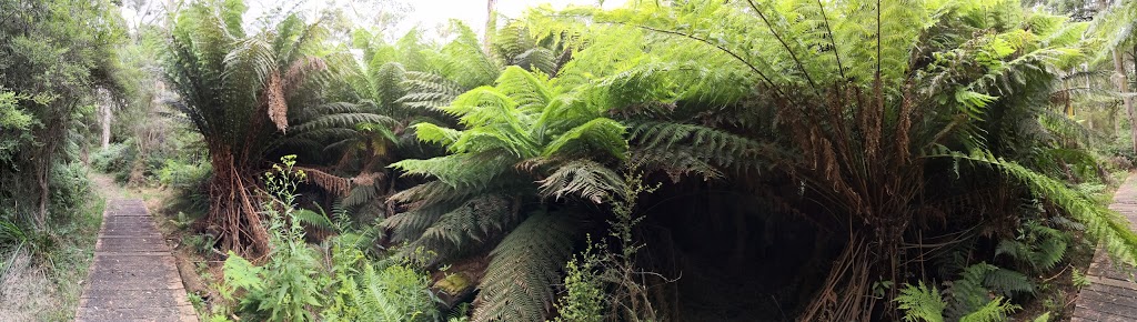 Main Ridge Nature Conservation Reserve | park | 71/79 Barkers Rd, Flinders VIC 3929, Australia | 131963 OR +61 131963