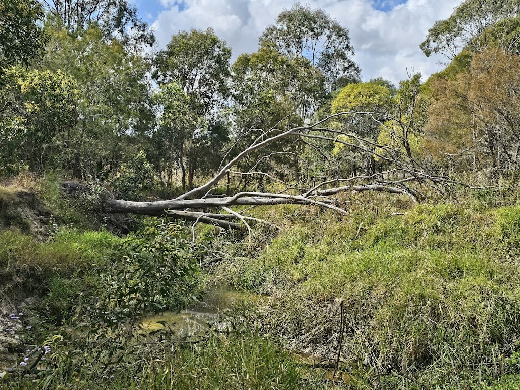 SW1 – Berrinba Wetlands | Wayne Goss Dr, Browns Plains QLD 4118, Australia | Phone: (07) 2899 7353