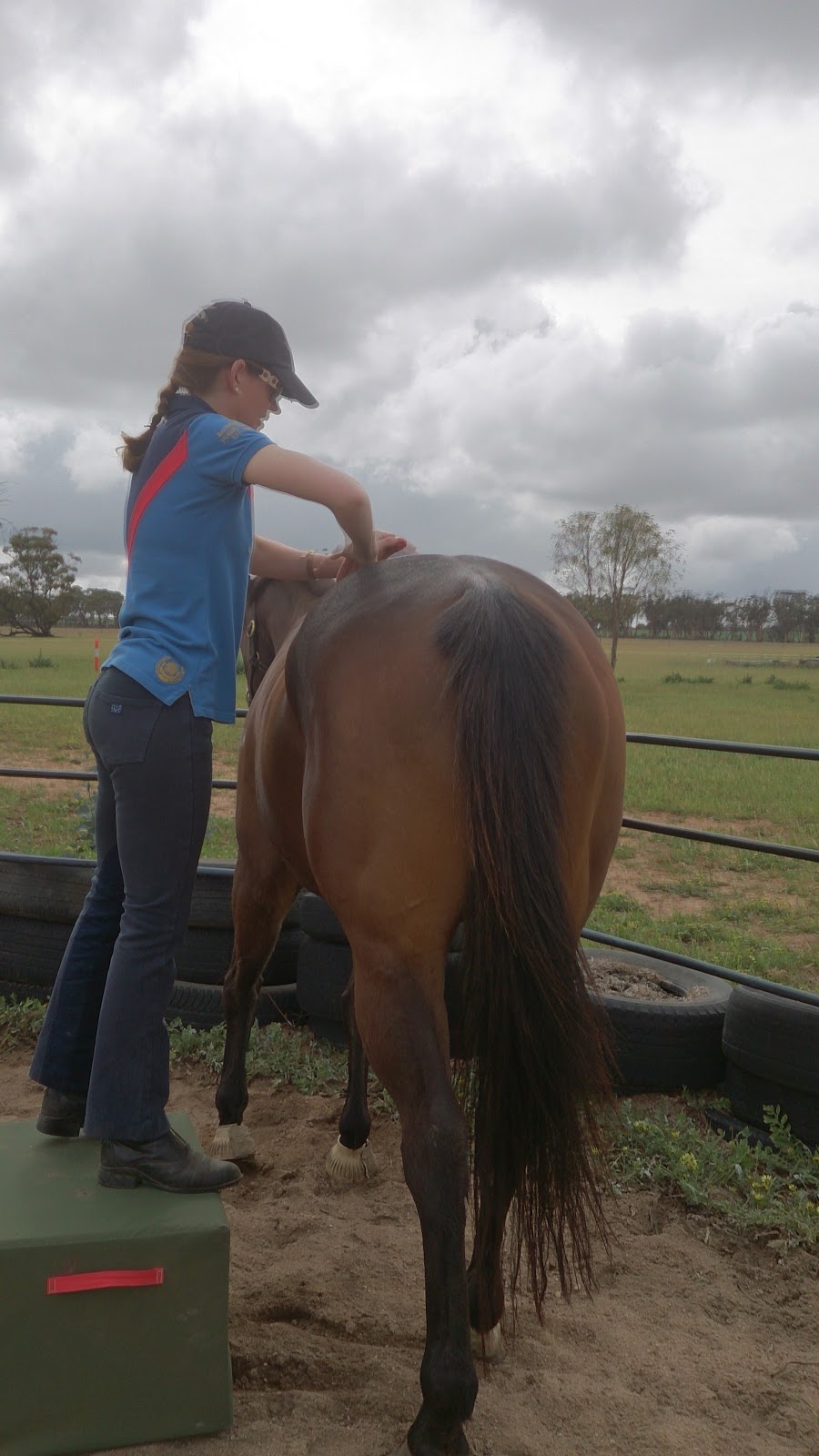 AB Physiotherapy Services for horses and riders | 1707 Doodlakine-Kununoppin Rd, Doodlakine WA 6411, Australia | Phone: 0407 300 402
