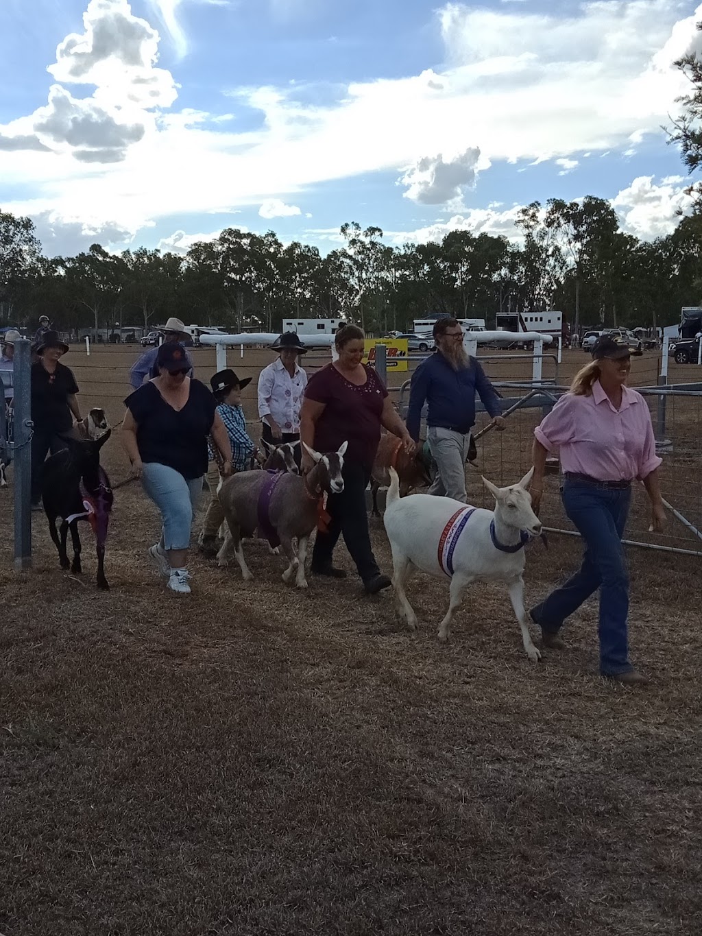 Callide Valley Show Society | 286 Callide St, Biloela QLD 4715, Australia | Phone: (07) 4992 2688