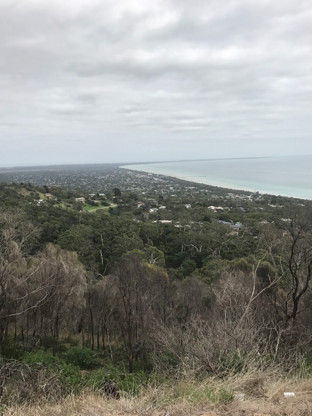 Arthurs Seat State Park | park | Victoria, Australia