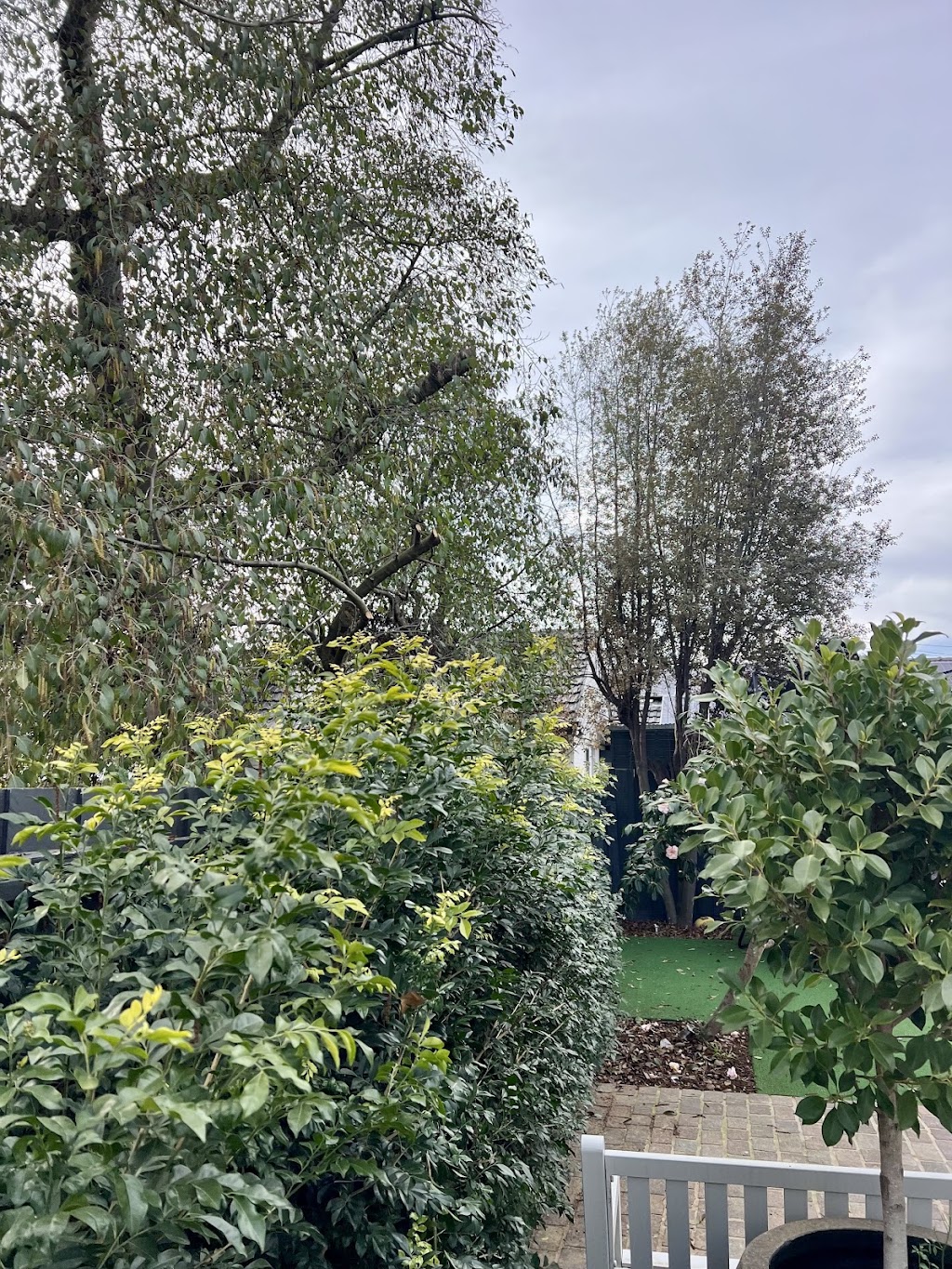 Balwyn Tree Service | 2 Oravel St, Balwyn North VIC 3104, Australia | Phone: (03) 8508 9040