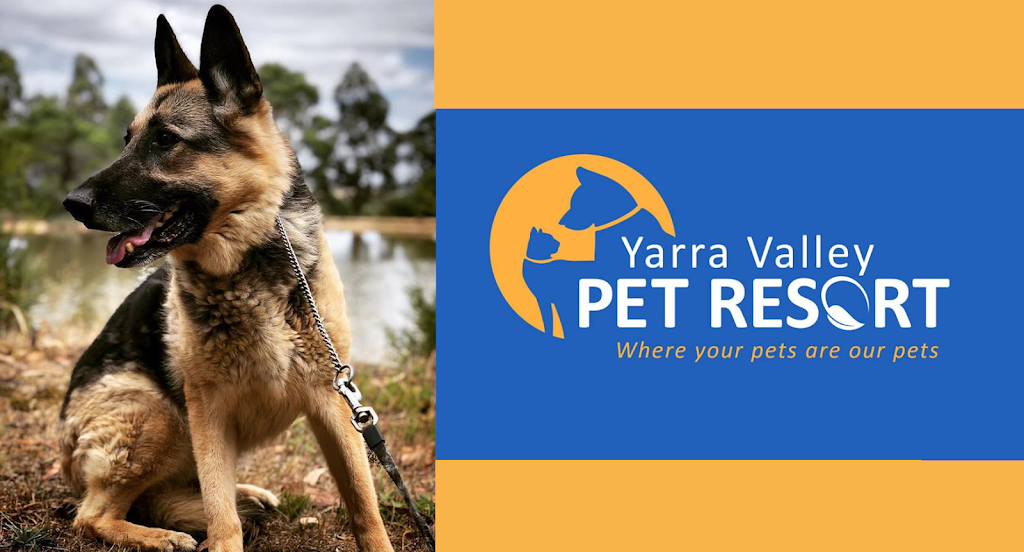 Yarra Valley Pet Resort | 50 Pine Ave, Badger Creek VIC 3777, Australia | Phone: (03) 5962 5253
