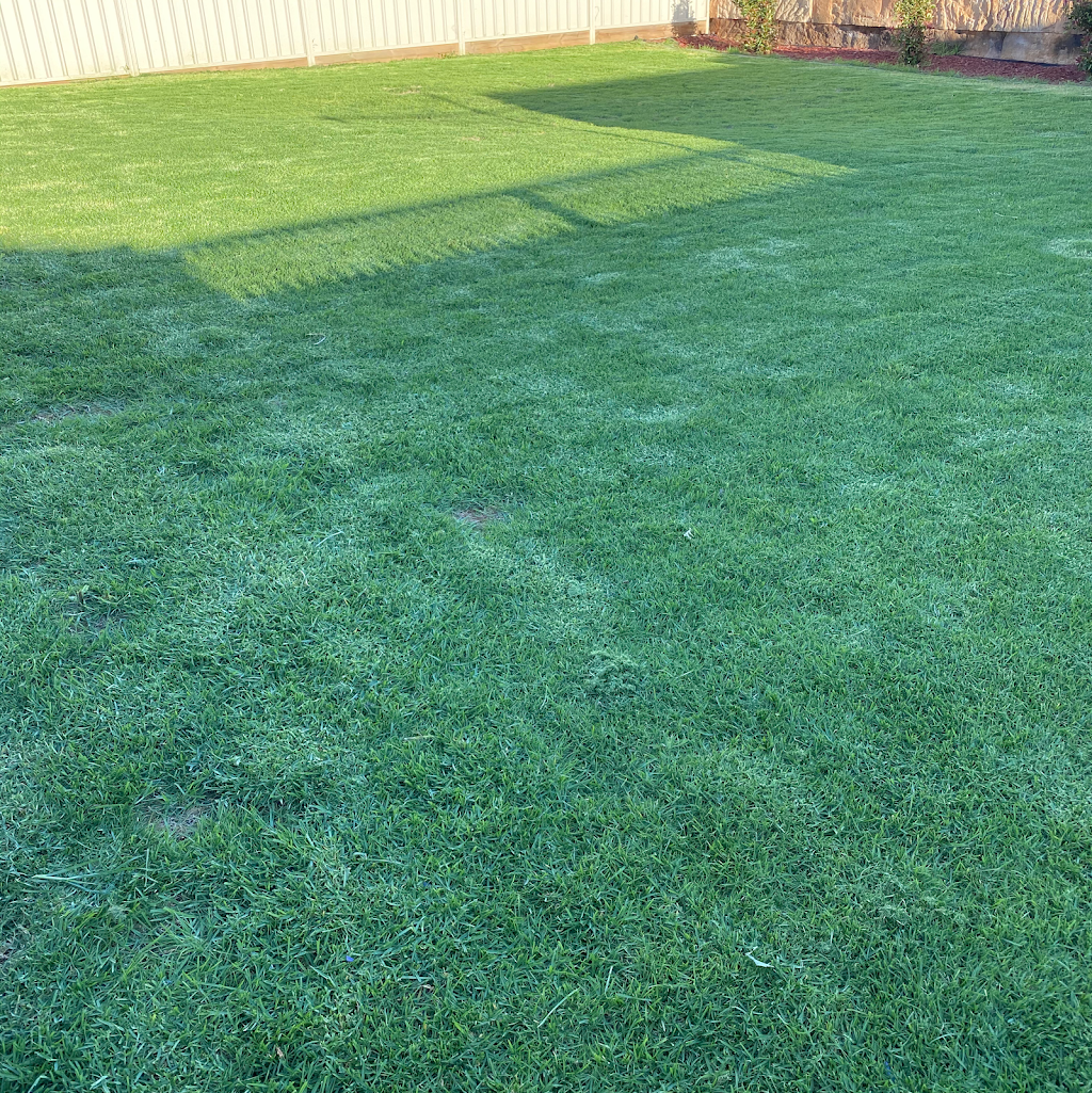 Louis Lawn and Garden Care | 11R Wilfred Smith Dr, Dubbo NSW 2830, Australia | Phone: 0428 895 083