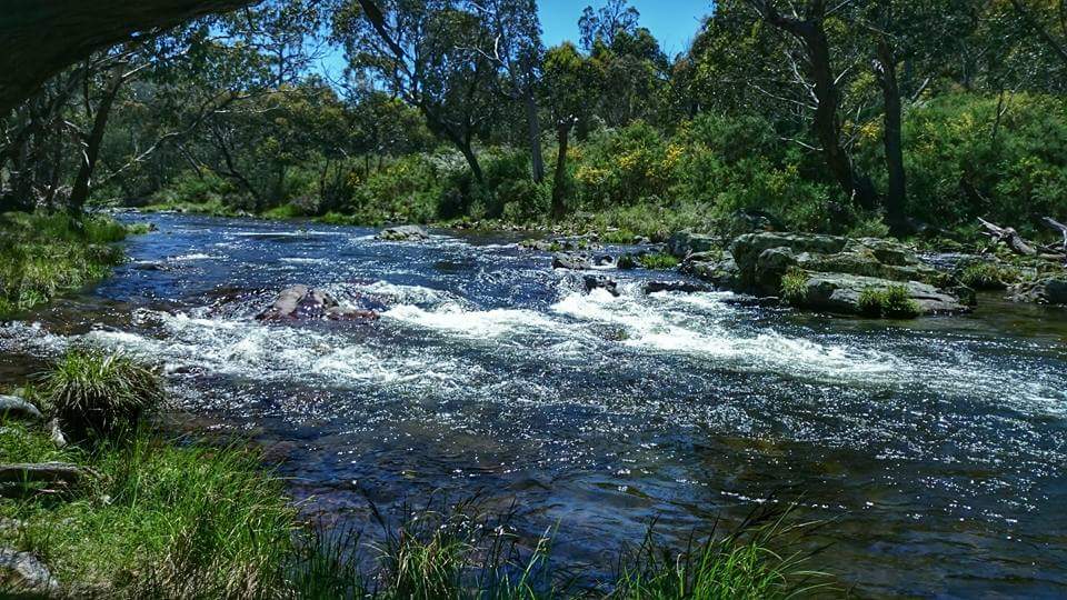 Big River Bridge Campground | campground | 4466 C543, Glen Valley VIC 3898, Australia