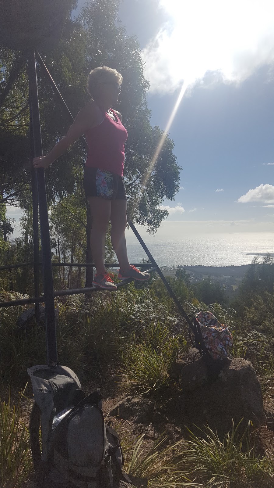 Mount Montgomery State Reserve | Mount Montgomery Rd, Penguin TAS 7316, Australia