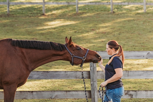 Equalize Equine Therapy | Wilson Ave, Woombye QLD 4559, Australia | Phone: 0407 156 174